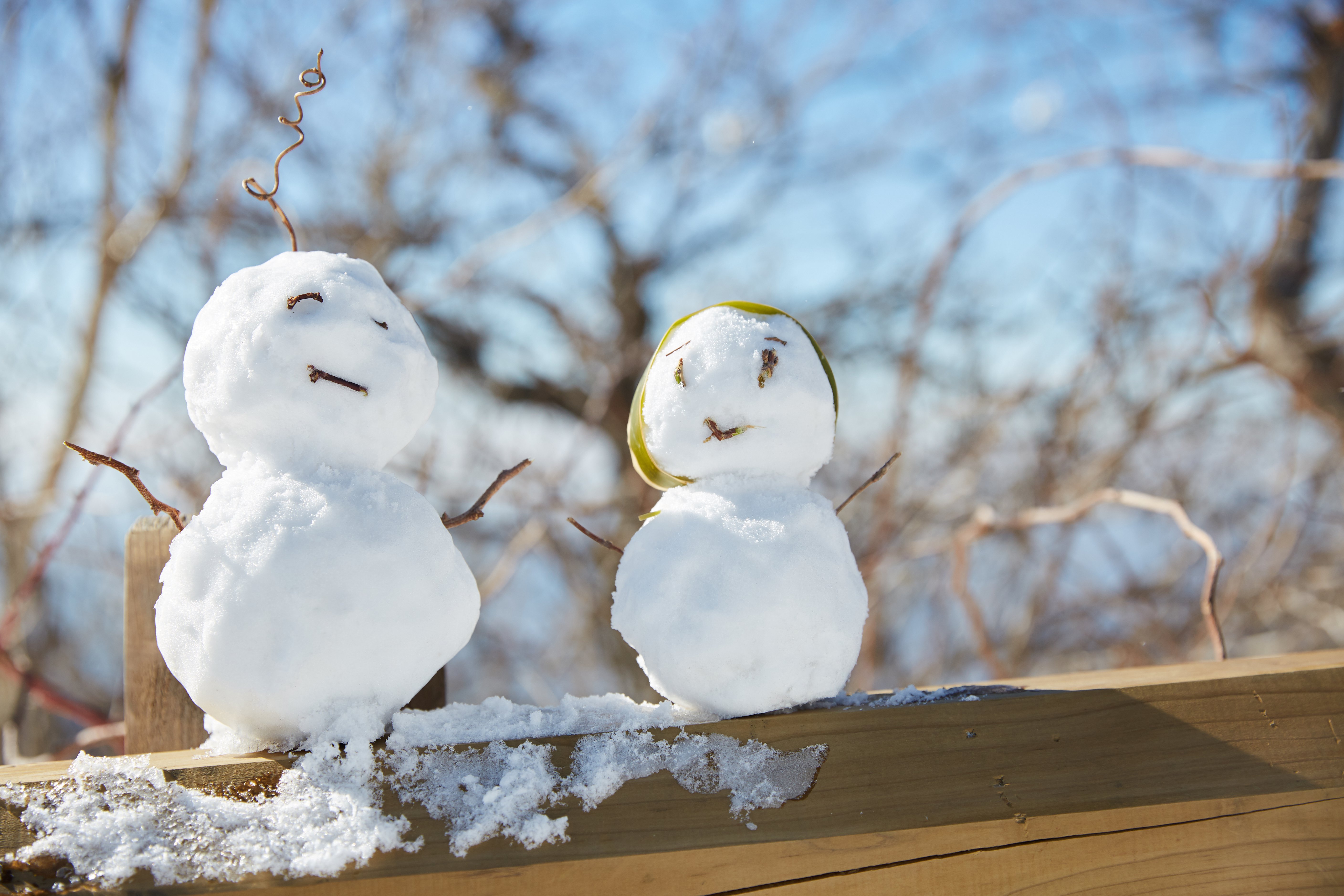 冬至，暖“杨”相伴 | 太阳集团电子游戏人全力配合各墓园冬至落葬