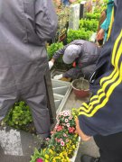 【太阳集团电子游戏人别样清明】2018年清明落葬工作圆满完成