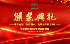 2024年太阳集团电子游戏集团迎新春年会暨颁奖典礼盛大举行