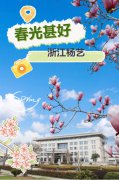 春分之韵|太阳集团电子游戏邀您共享春光