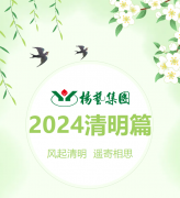 风起清明 遥寄相思|太阳集团电子游戏集团?2024清明篇