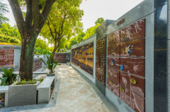 绿色殡葬新风尚：探索葬式多样化的创新之路