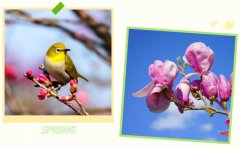 春启太阳集团电子游戏