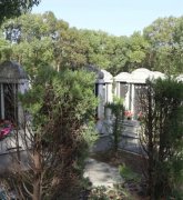 绿色生态葬：文明赓续的绿色选择