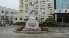 石雕匠心，镌刻医者风华